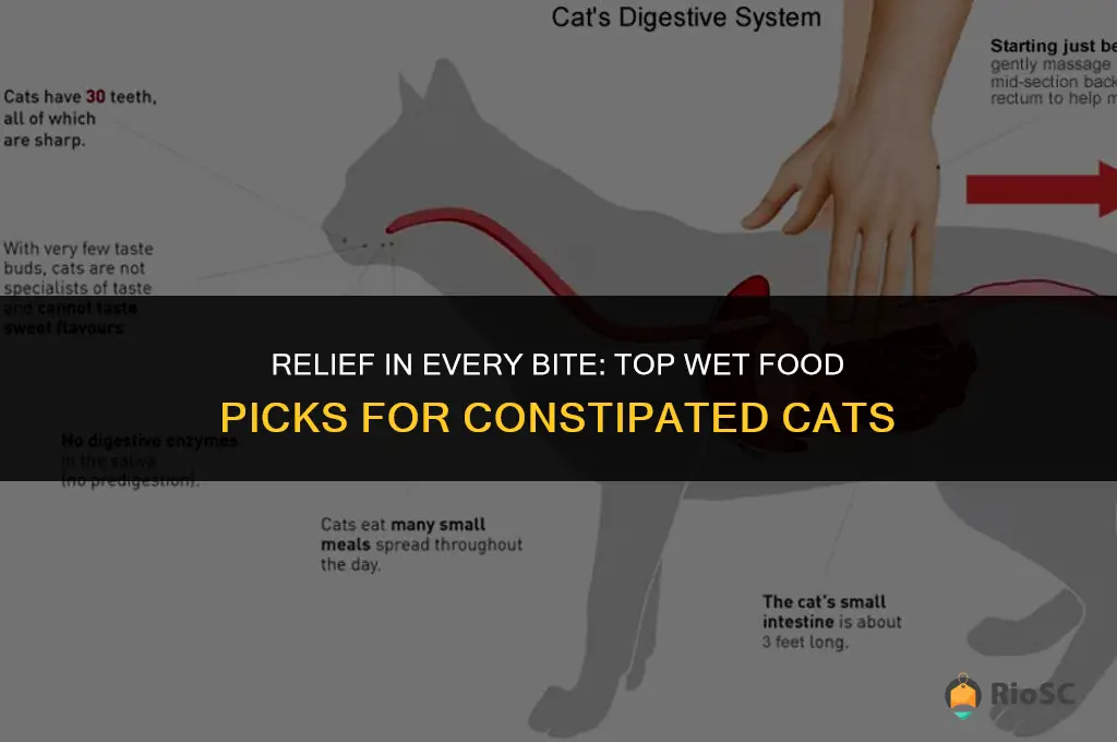 best wet food for constipated cat