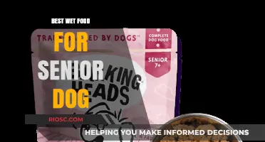 Nutritious Wet Food Options to Keep Your Senior Dog Healthy and Happy