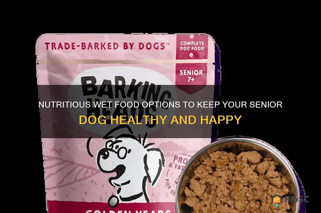 best wet food for senior dog