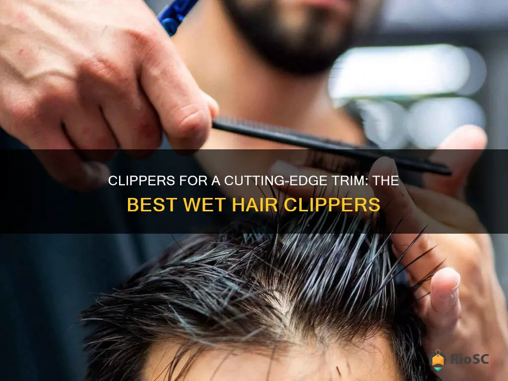 best wet hair clippers