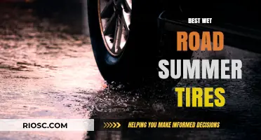 Top Wet Road Summer Tires for Superior Grip and Safety