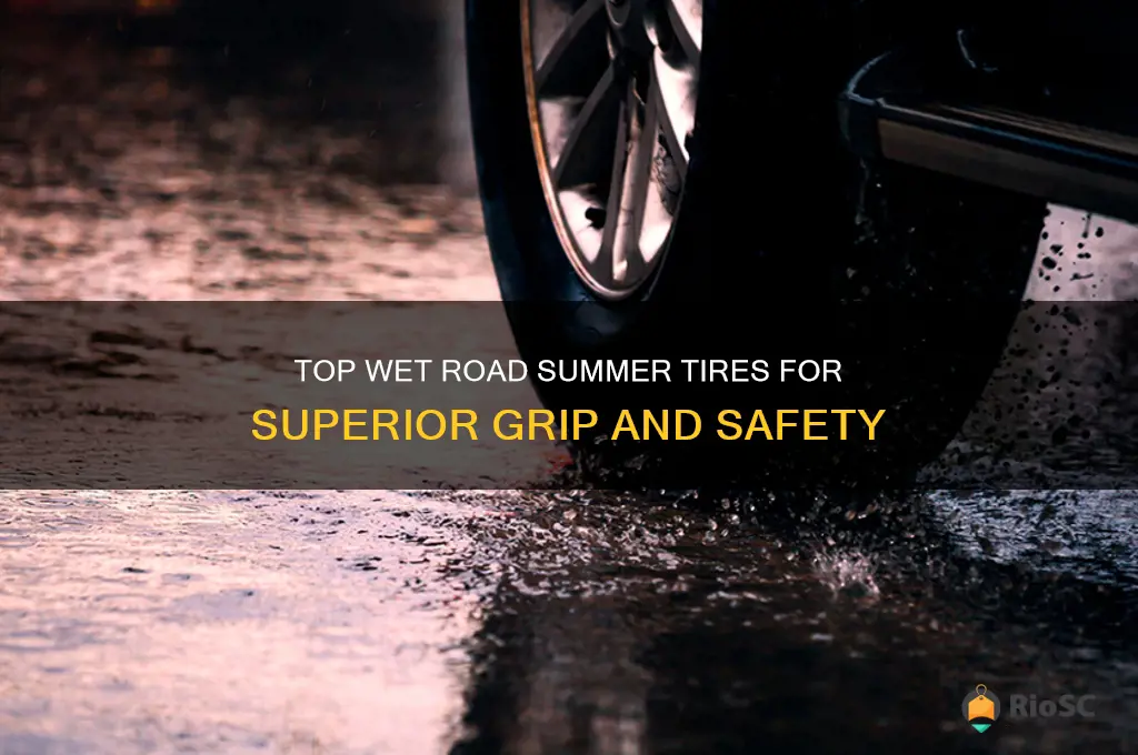 best wet road summer tires