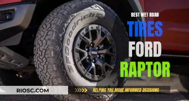 Wet and Wild: Choosing the Best Road Tires for Your Ford Raptor