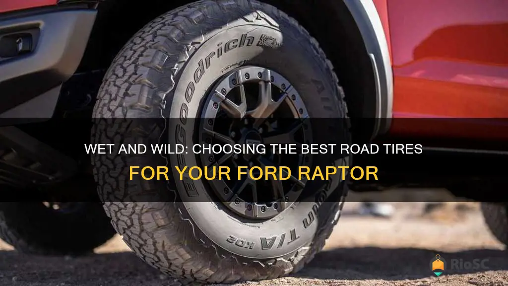 best wet road tires ford raptor