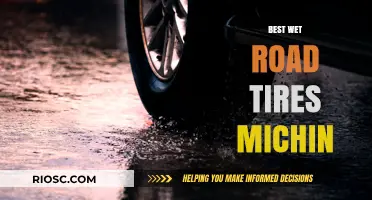 Top Wet Road Tires: Michin's Best Picks for Superior Grip and Safety