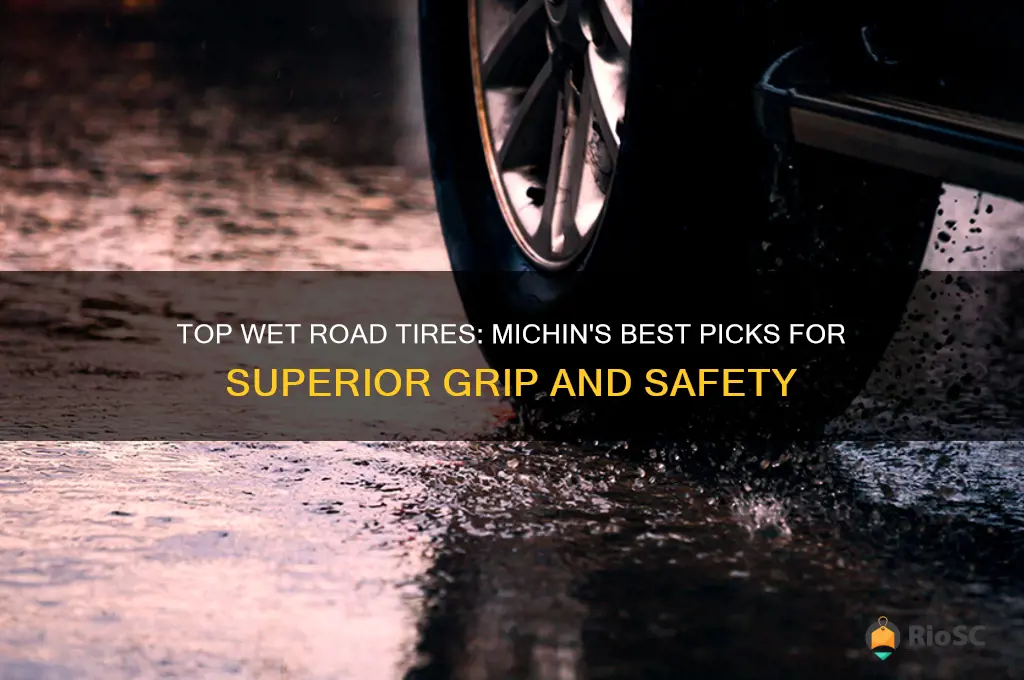 best wet road tires michin