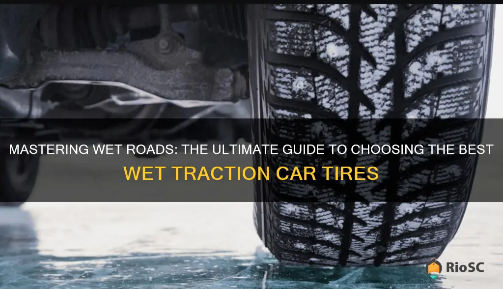 best wet traction car tires