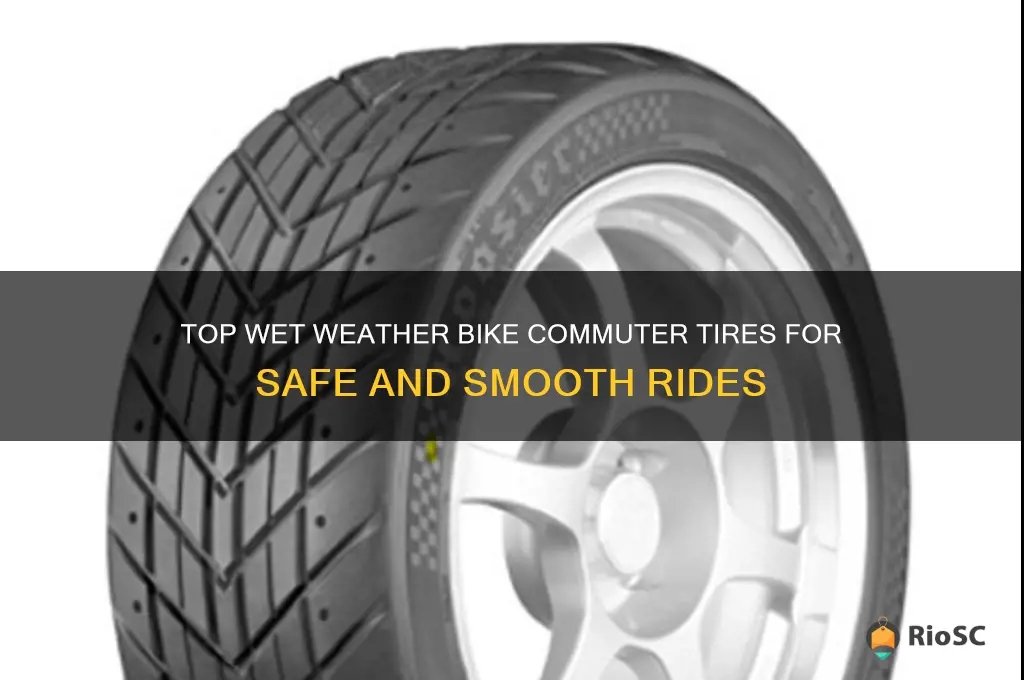 best wet weather bike commuter tires