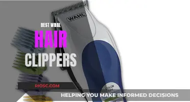 Top-Tier Whale Clippers: Finding the Ultimate Tool for a Perfect Trim