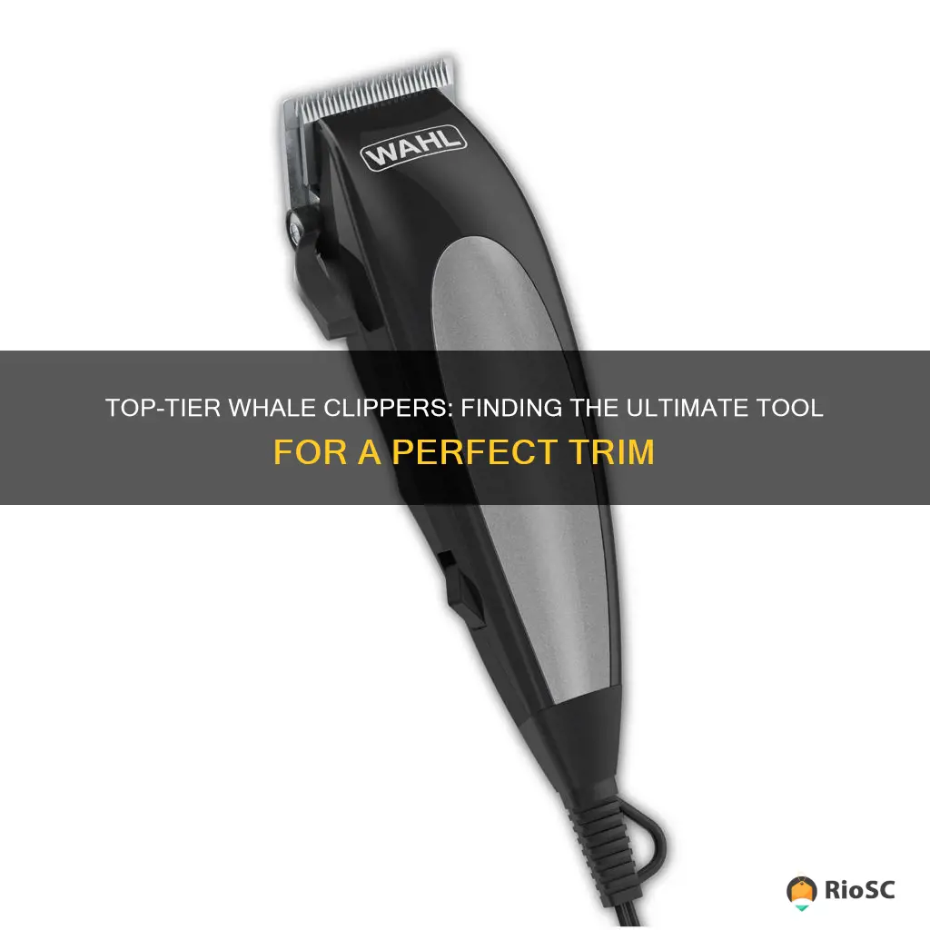 best whal hair clippers