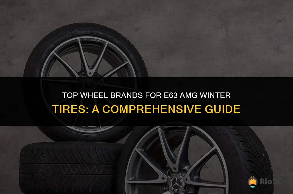 best wheel brand for e63 amg winter tires