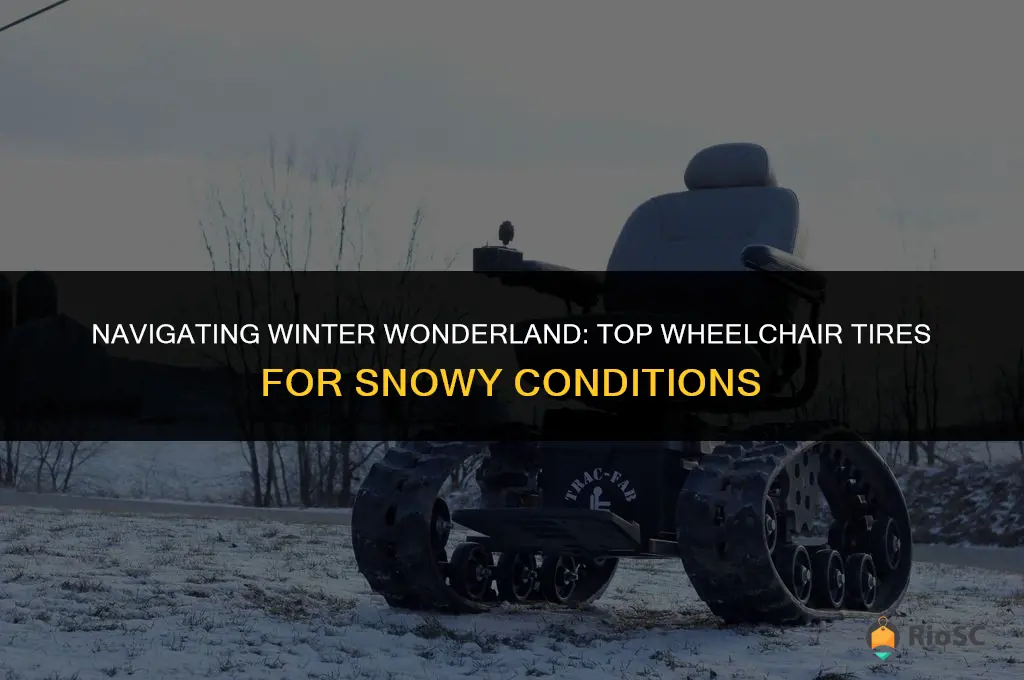 best wheelchair tires for snow