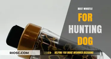Top-Rated Hunting Dog Whistles: Enhance Training and Communication in the Field