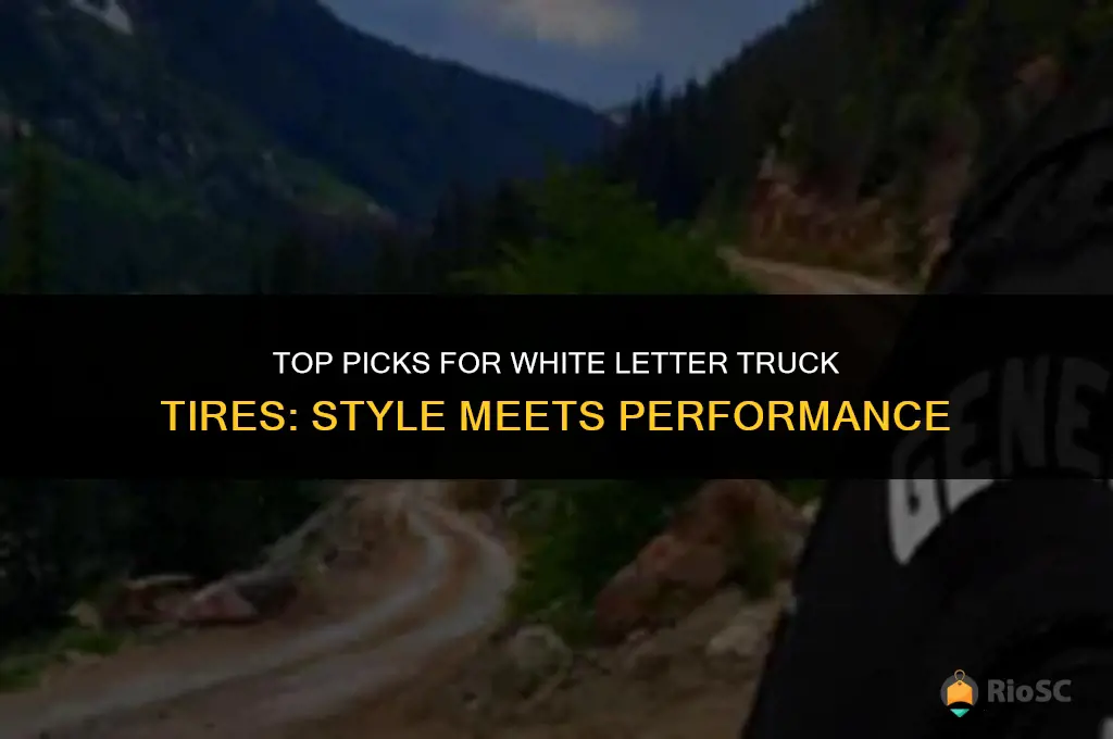 best white letter truck tires