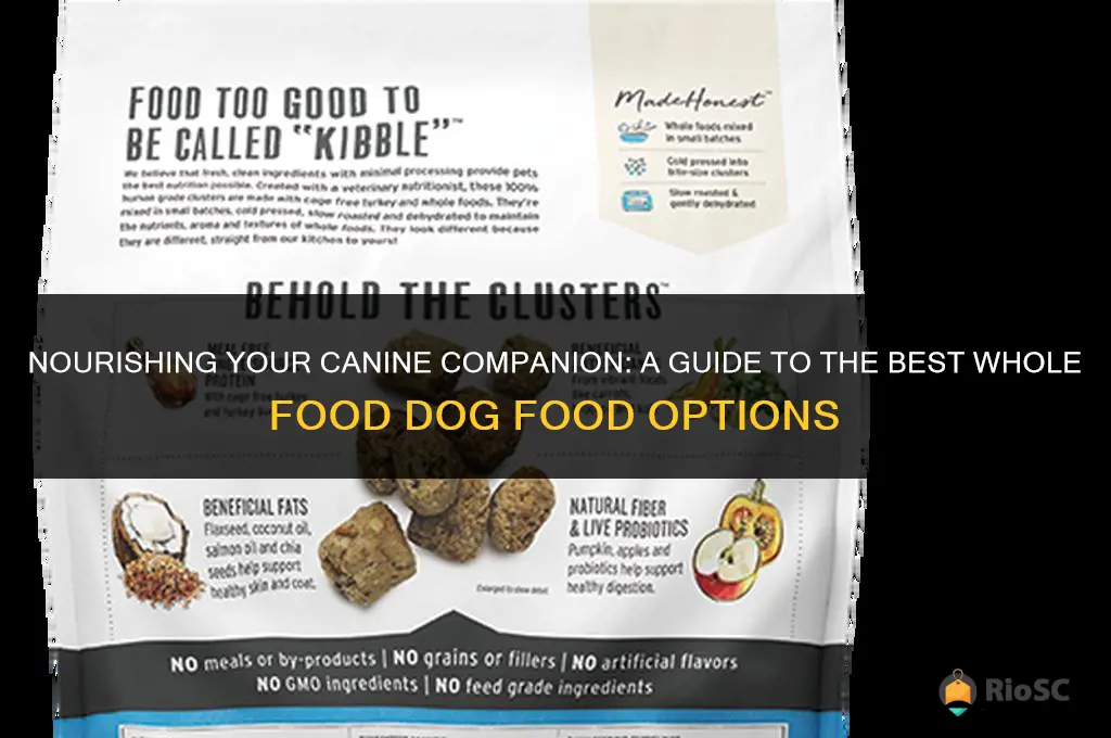 best whole food dog food