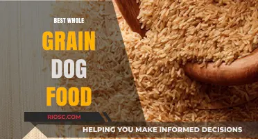 Top-Rated Whole Grain Dog Foods for Optimal Canine Health and Nutrition