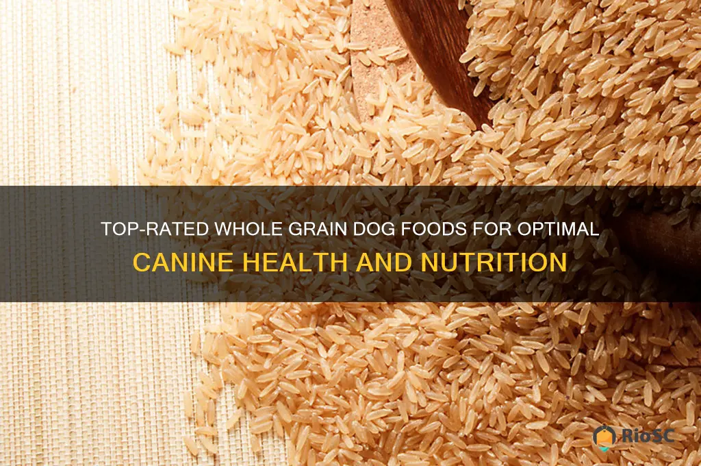 best whole grain dog food