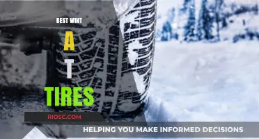 Top Winter Tire Picks: Stay Safe and Stylish on Snowy Roads