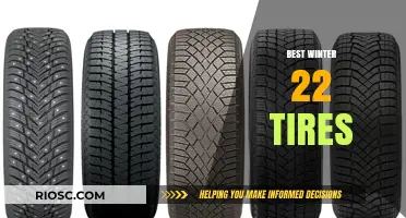Top Winter Tires for 2022: Stay Safe and Warm on the Road