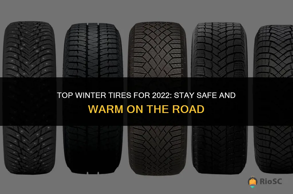 best winter 22 tires
