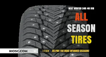 Top Picks for Winter: The Best 245 40 R18 All-Season Tires to Keep You Safe and Stylish on the Road