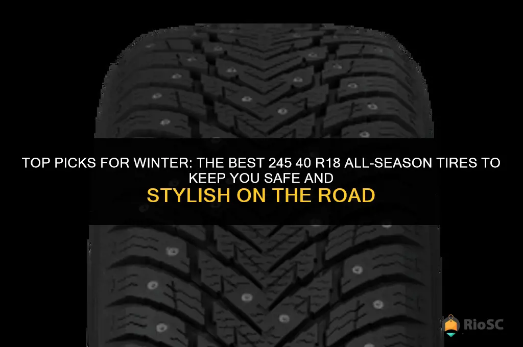best winter 245 40 r18 all season tires