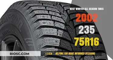 Top Winter All-Season Tires for 2002: 235/75R16 Size Guide