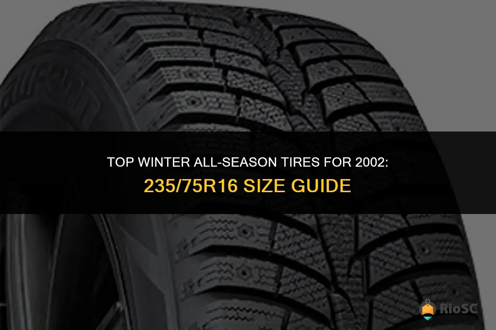 best winter all season tires 2002 235 75r16