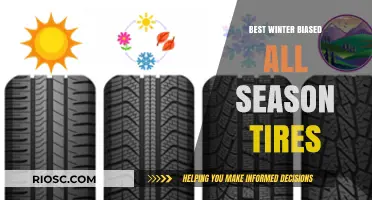 Top Winter-Ready All-Season Tires: Stay Safe and Stylish on the Road