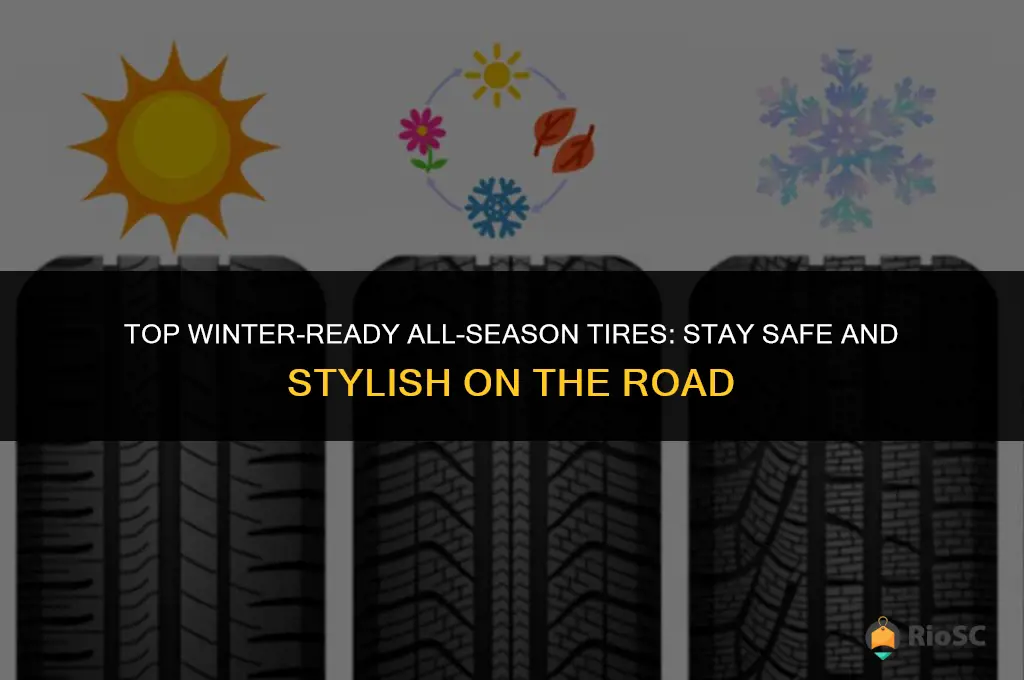 best winter biased all season tires