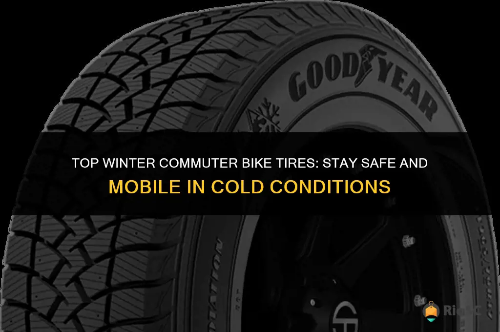 best winter commuter bike tires
