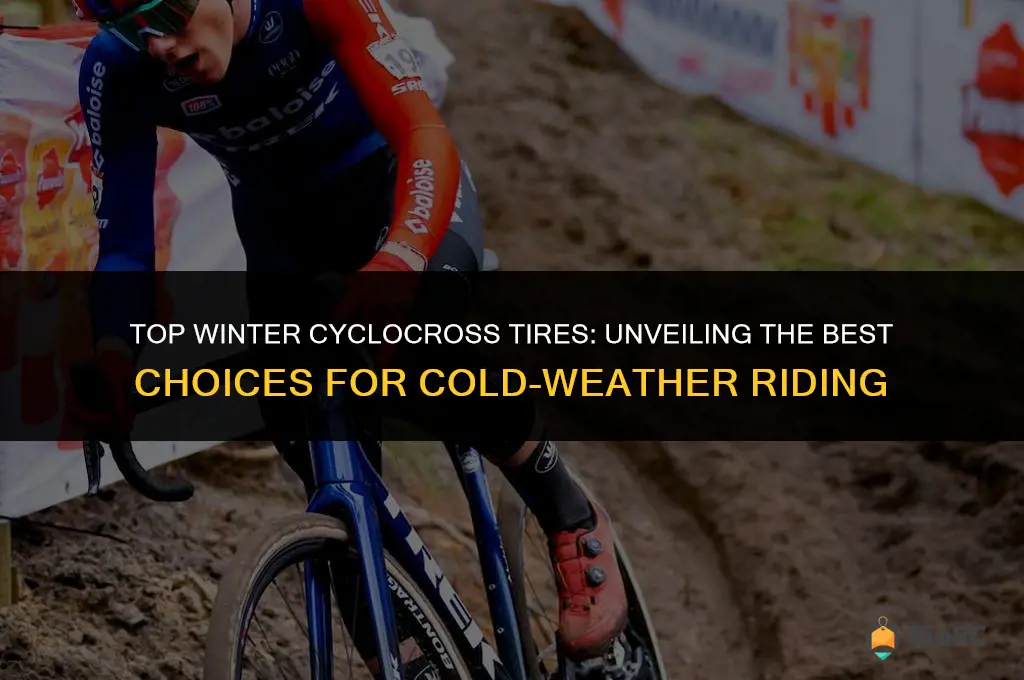 best winter cyclocross tires