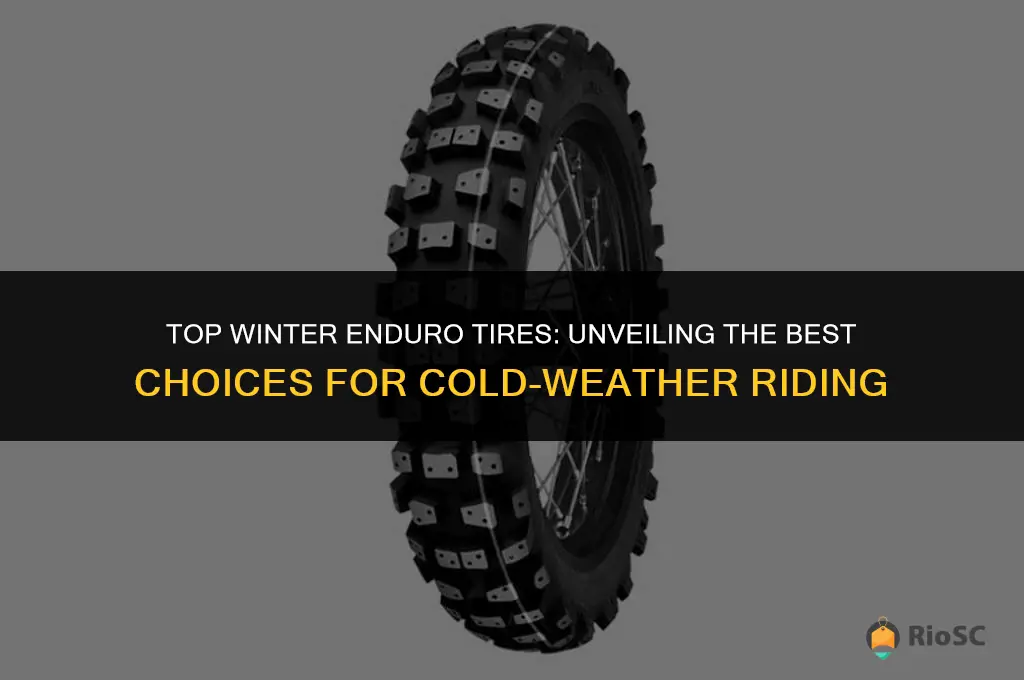 best winter enduro tires