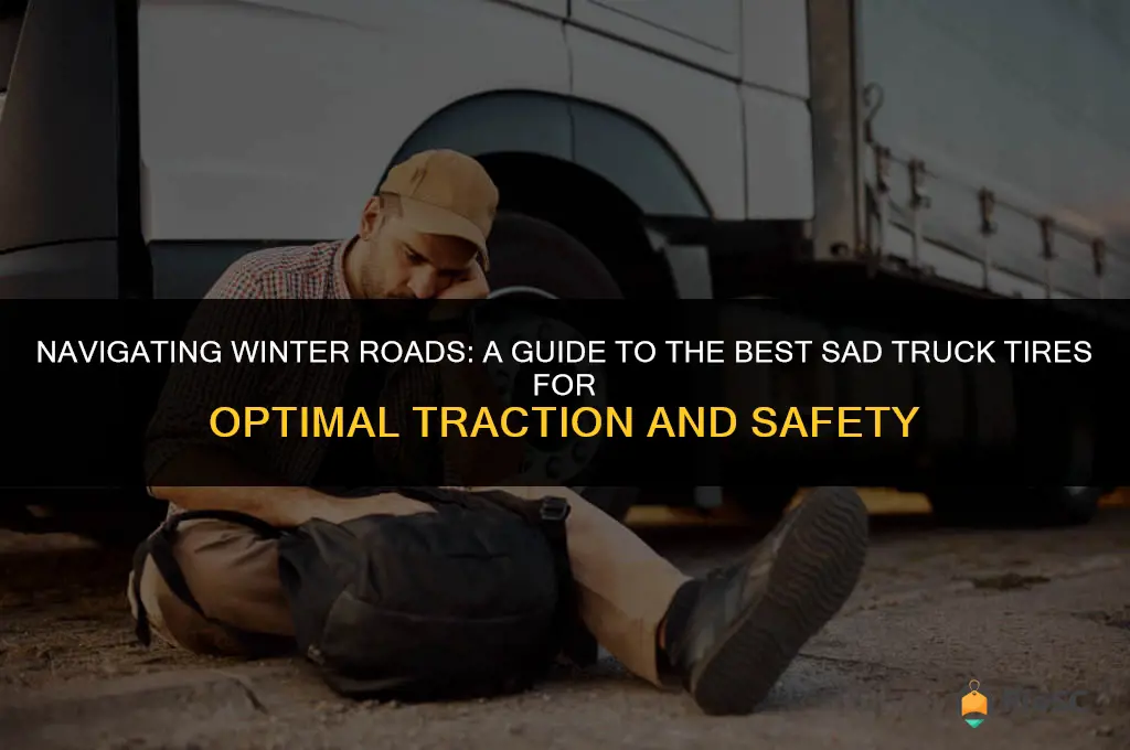 best winter light sad truck tires