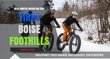 Conquering the Boise Foothills: A Guide to the Best Winter Mountain Bike Tires
