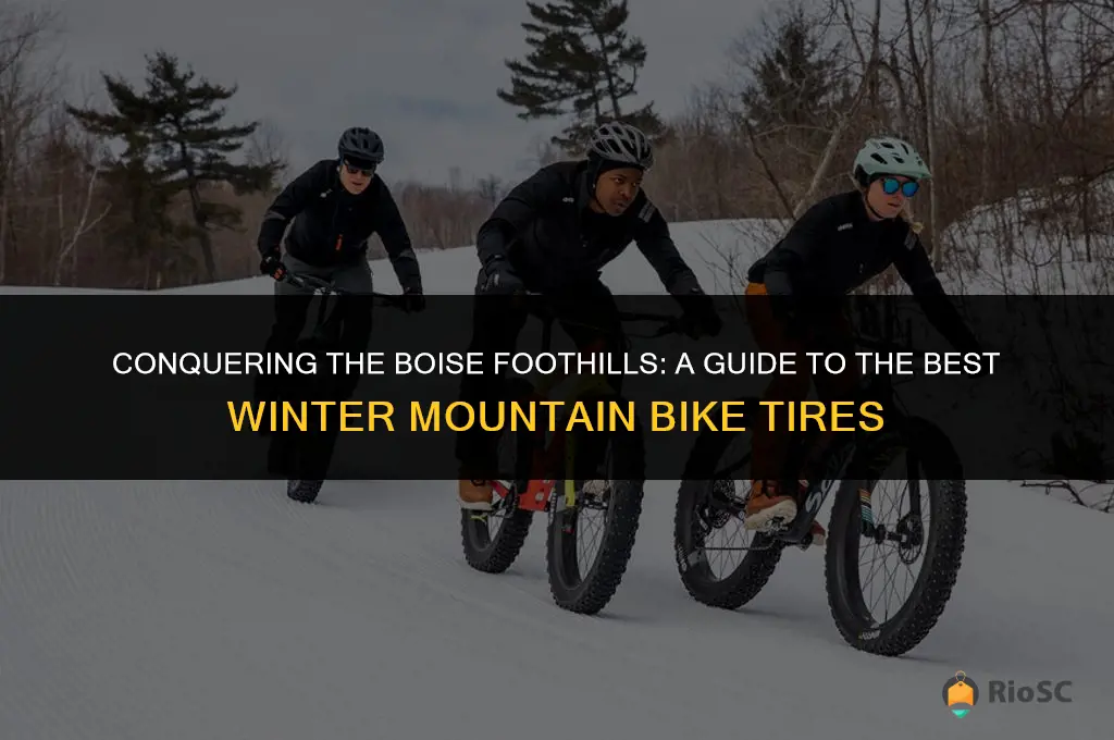 best winter mountain bike tires boise foothills