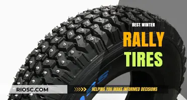 Top Winter Rally Tires: Unveiling the Best Performers for Snowy and Icy Conditions