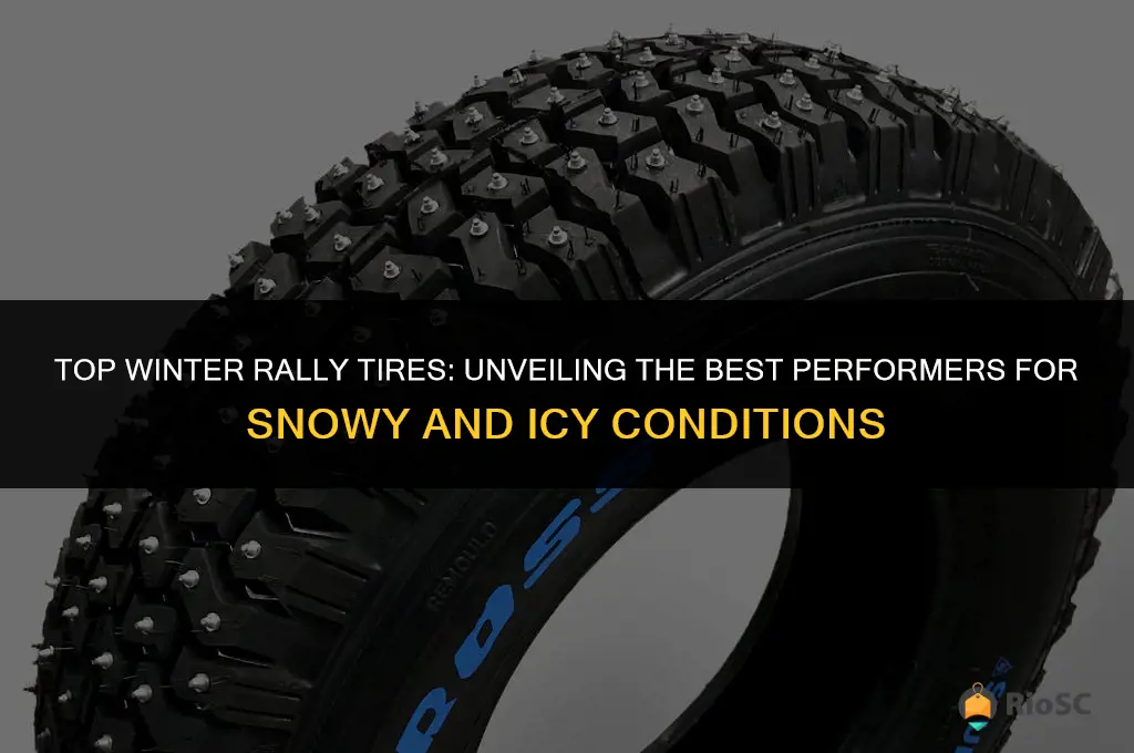 best winter rally tires