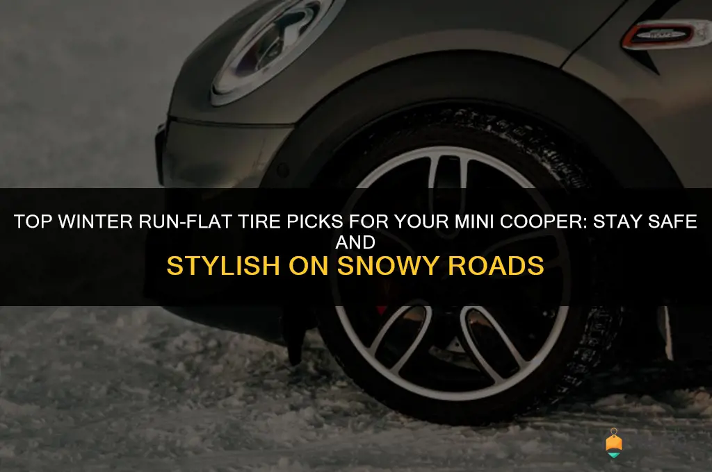 best winter run flat tires for mini cooper