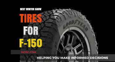 Top Winter Snow Tires for Your F-150: Stay Safe and Mobile in Any Weather