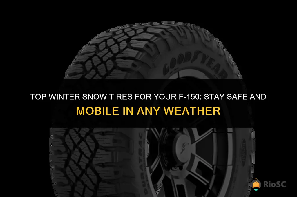 best winter snow tires for f-150