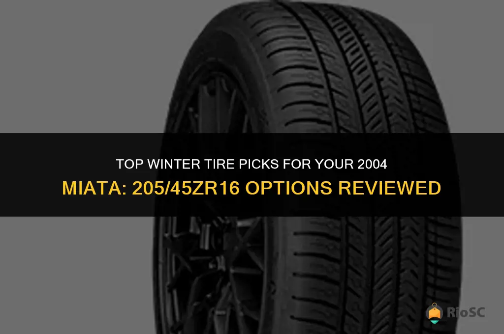 best winter tires 2004 miata 205 45 zr 16