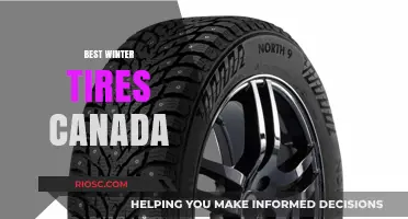Top Winter Tires for Canadian Roads: Stay Safe and Mobile This Season