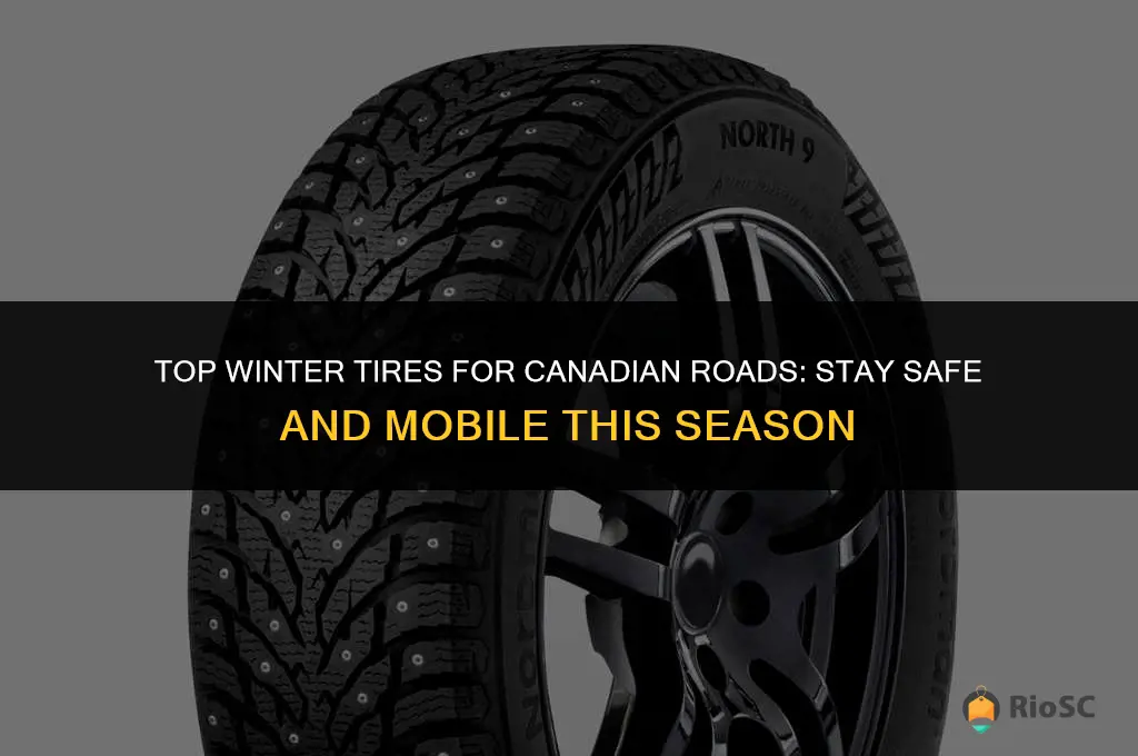 best winter tires canada