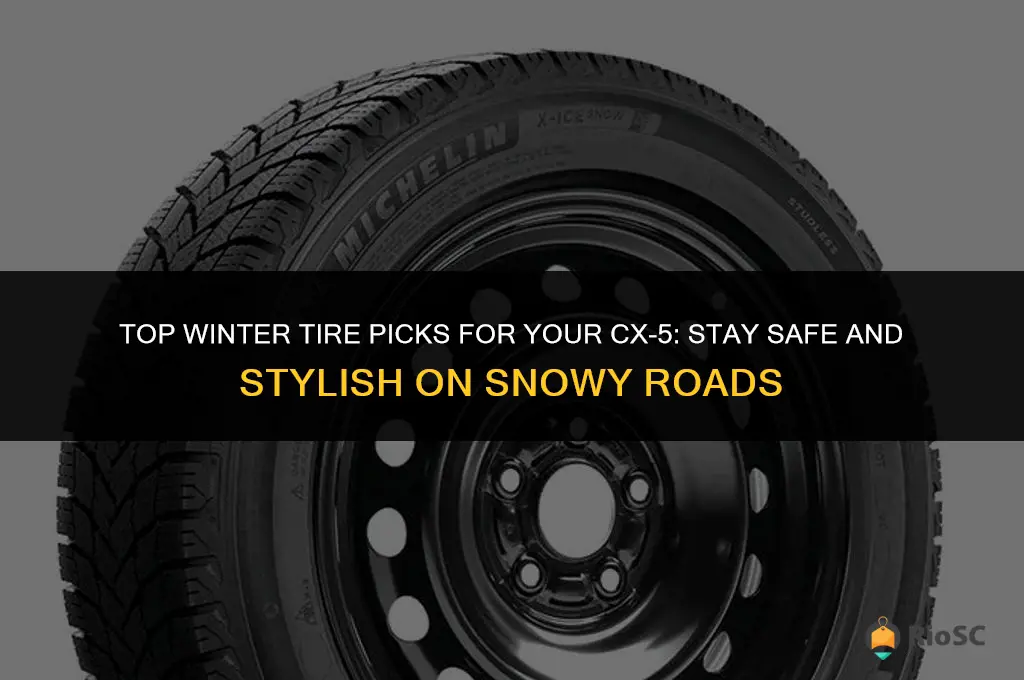 best winter tires cx-5