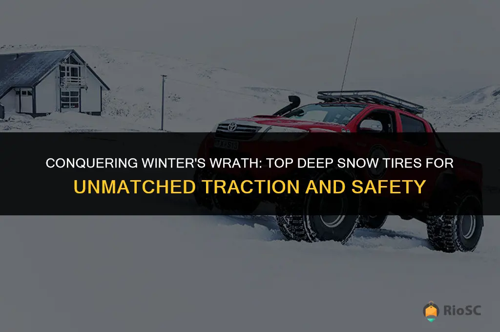 best winter tires deep snow