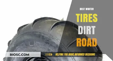 Top Winter Tires for Dirt Roads: Stay Safe and Mobile in Snowy Conditions