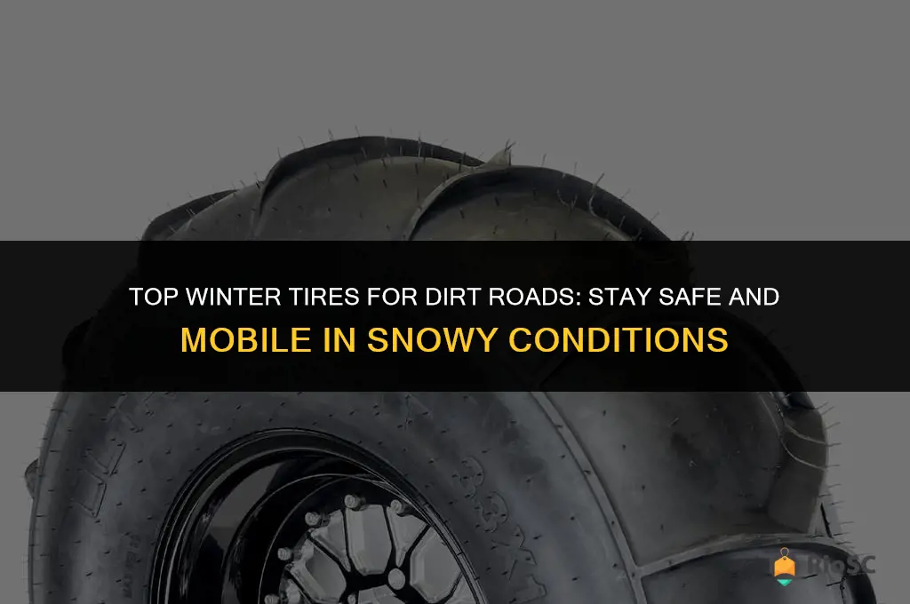 best winter tires dirt road