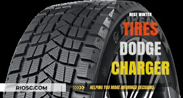 Top Winter Tire Picks for Your Dodge Charger: Stay Safe and Stylish on Snowy Roads