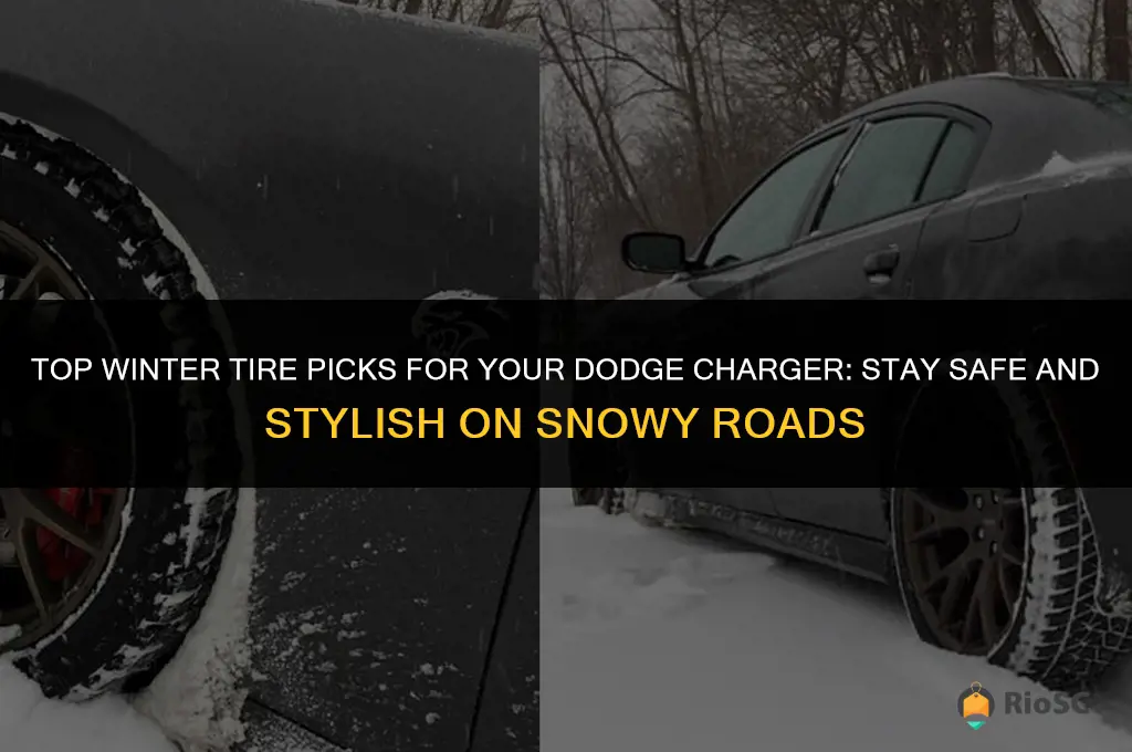 best winter tires dodge charger